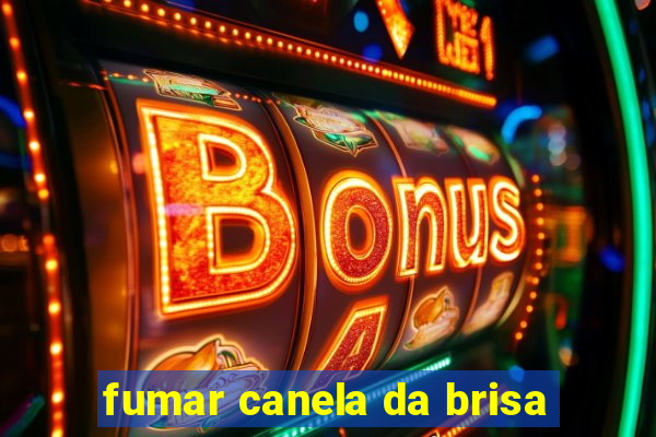 fumar canela da brisa